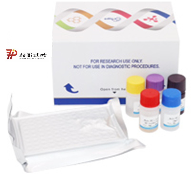 組織短鏈烯脂酰輔酶A水合酶（ENOYL COA HYDRATASE）活性比色法定量檢測(cè)試劑盒